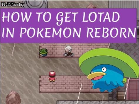 lotad pokemon|lotad pokemon reborn.